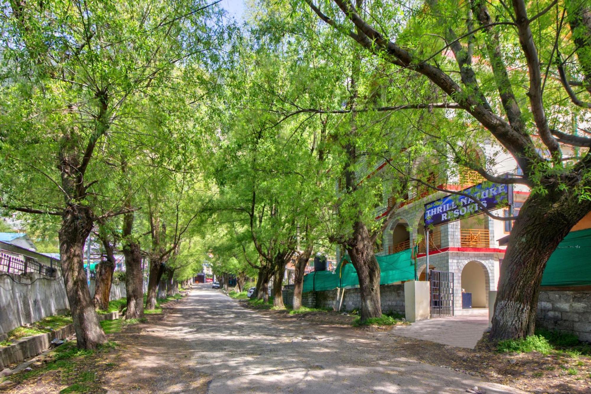Thrill Nature Cottage Манали Экстерьер фото
